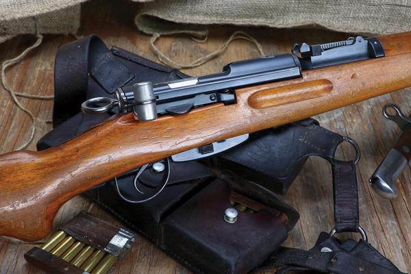 Karabiner 31